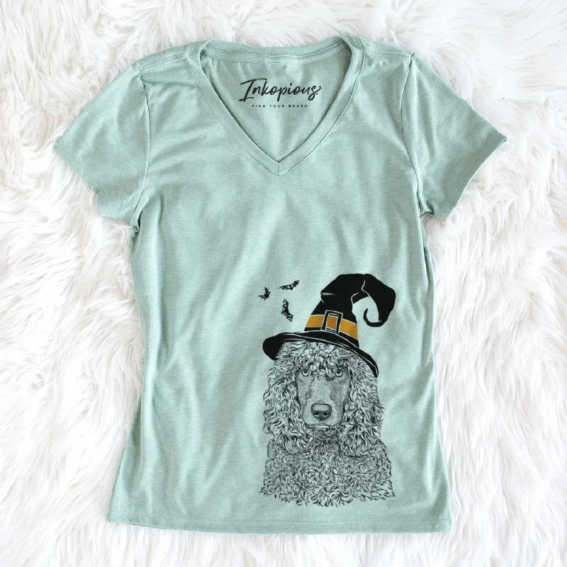 Witch Shilo the Irish Water Spaniel - Women's V-neck Shirt-- Plaid T-Shirt Polka Dot Checkered Witch Shilo the Irish Water Spaniel - Women's V-neck Shirt-- Plaid T-Shirt Polka Dot Checkered