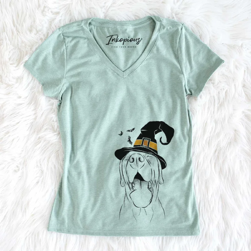 Witch Silly Lilly the Labrador Retriever - Women's V-neck Shirt-- Striped Floral Plaid Witch Silly Lilly the Labrador Retriever - Women's V-neck Shirt-- Striped Floral Plaid