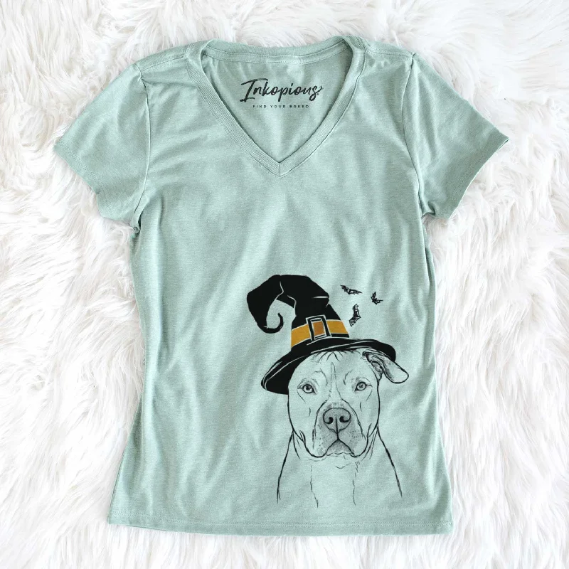 Witch Teddy Jam the Pitbull - Women's V-neck Shirt-- Mesh Canvas Denim