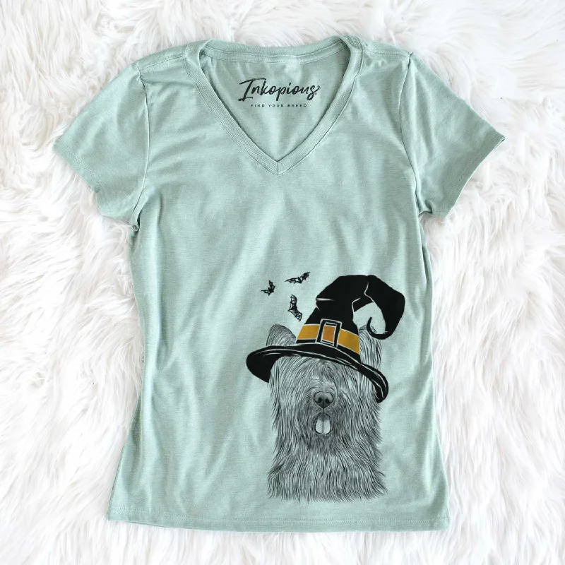 Witch Shay the Briard - Women's V-neck Shirt-- Mesh Canvas Denim