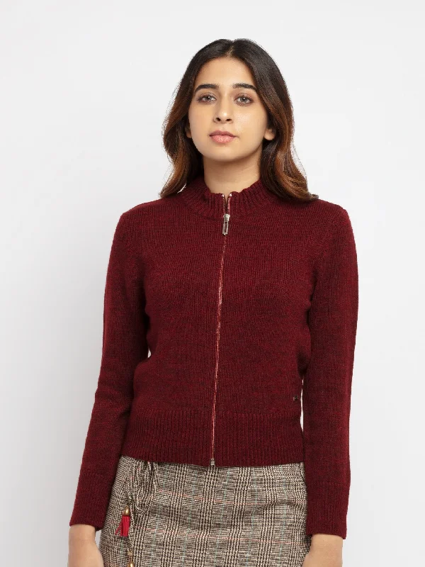Women's Solid  Sweater Glossy Satin Silk